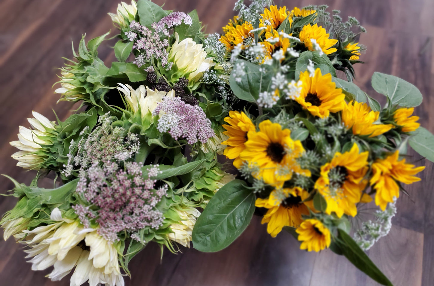 SUNFLOWER SUBSCRIPTION - CROWSNEST PASS