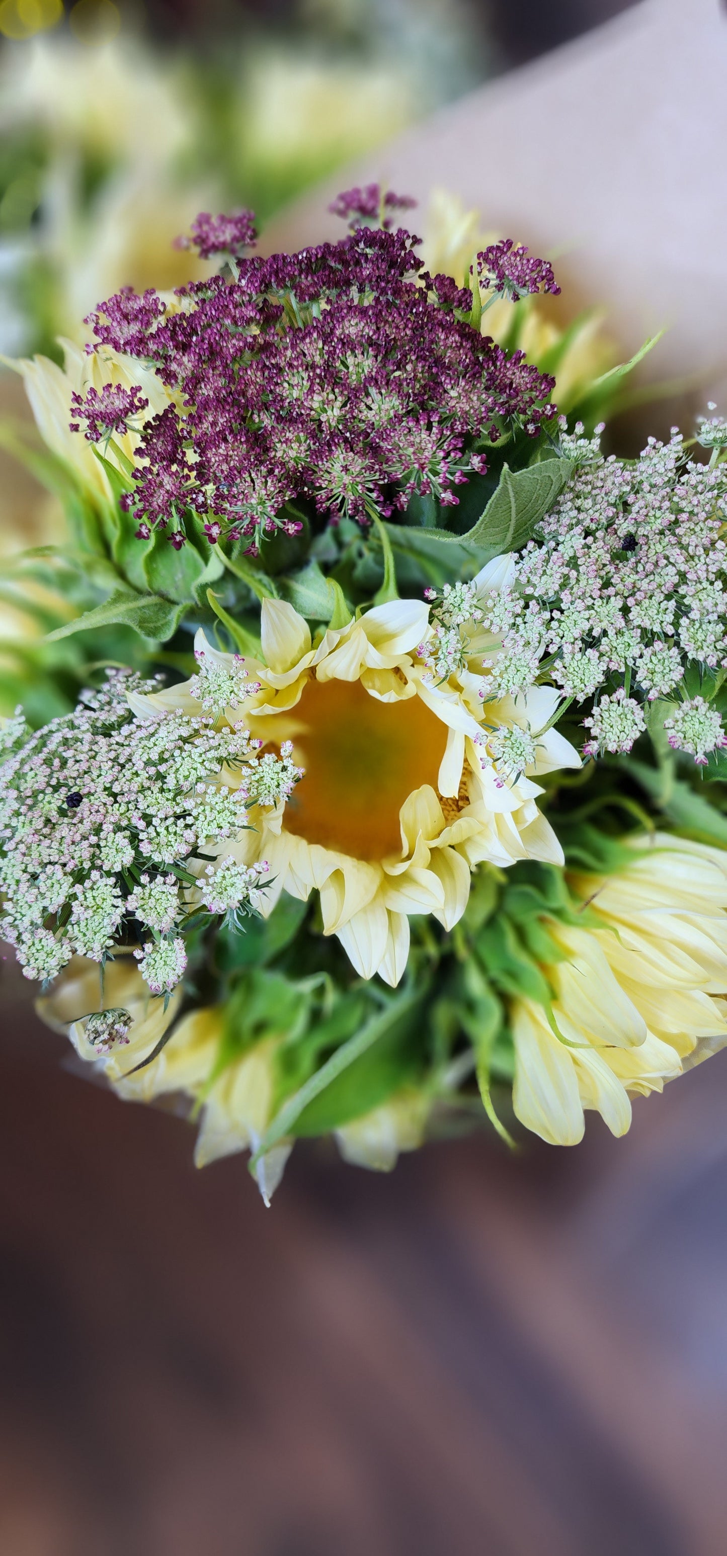 SUNFLOWER SUBSCRIPTION - CROWSNEST PASS