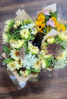 CROWSNEST PASS & AREA: 4 SPRING - FALL BOUQUETS